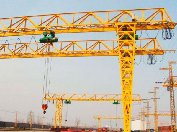 花架奇异果平台